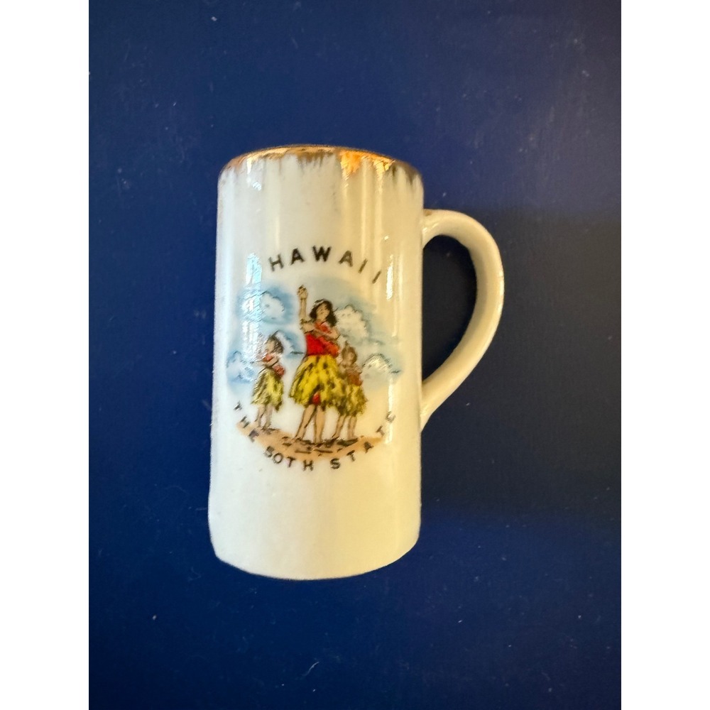 Hawaii Souvenir Shot Glass Novelty Humor Bc One Shot Every 15 Minutes‎